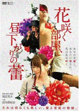 林知白 新人常驻 角色卡